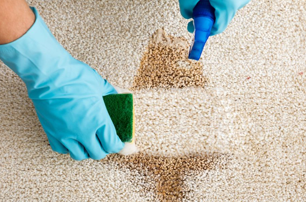 How To Get Wax Off The Carpet? (6 Easy Steps)